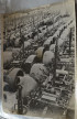 Press photo 88 flak